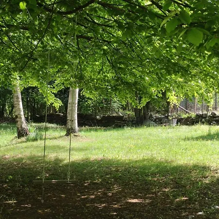 Verde Appartamento Colico